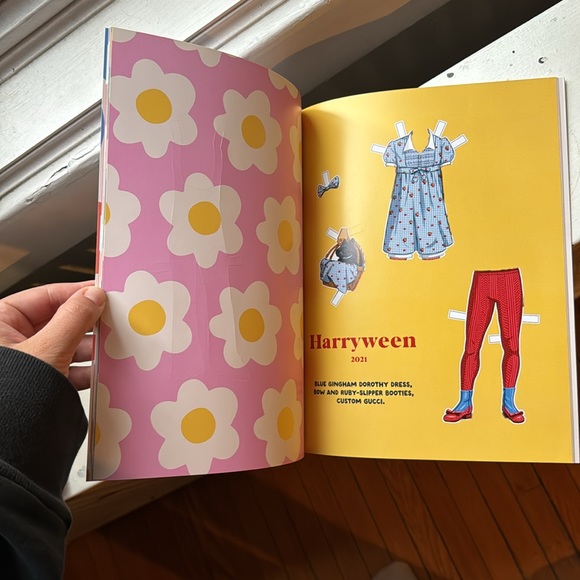 Harry Styles dress up book - Picture 3 of 4